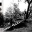 Timber Timbre - Timber Timbre
