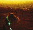 Neon Indian - Era Extra�a